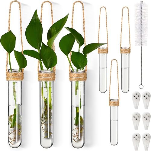 Baderke 6 Pack Plastic Hanging Propagation Vases Wall Planters Hanging Plant Propagation Station Flower Vase for Hydroponic Office Garden Flower Decor Lover Gift (Natural Color)