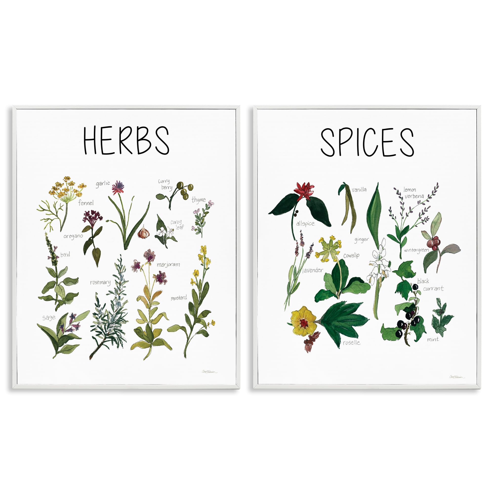 Stupell Industries Coastal White (Textured) 'Culinary Herbs & Spices', 2Pc Framed Giclee Art Set 2, White, 24 X 30 Inches, Easy To Hang And Sturdy, Made In Usa, By Carol Robinson
