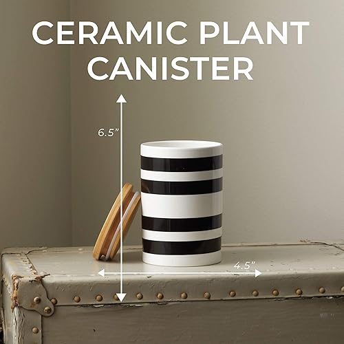 Miniatura 4 de Latter-Day Home Stripe - Recipiente de cocina - Accesorios de cocina - Decoración de cocina - Botes para encimera de cocina - Contenedores de harina