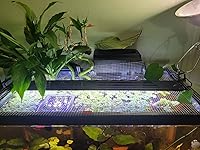 Review Image by Jason J Wilson Jason J Wilson