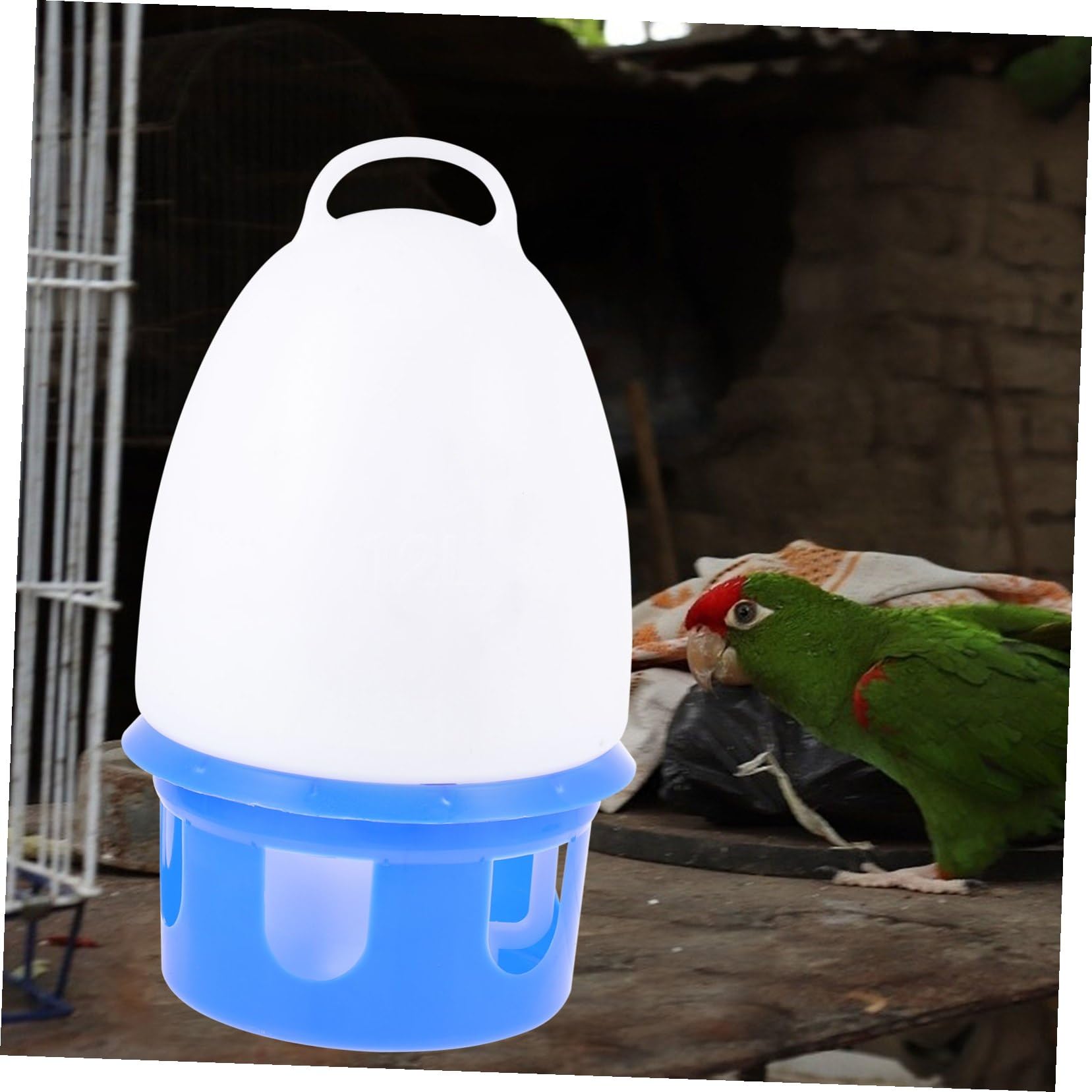 Abreuvoir pour Pigeons en PVC, Bleu, Portable, avec Échelle