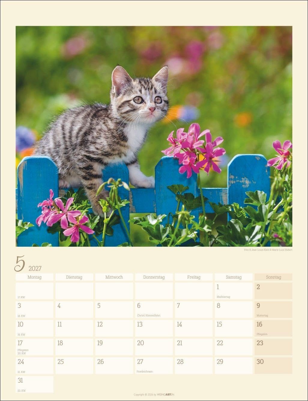 Katzen auf dem Lande Kalender 2027: Süße Kätzchen in ländlicher Idylle: Ein Foto-Kalender zum Dahinschmelzen. Planer mit Platz zum Eintragen. Hochformat 30 x 39 cm