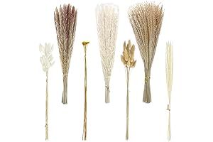 Graceful Pampas Grass Bouquet: Adorn Your Home with Nature's Touch