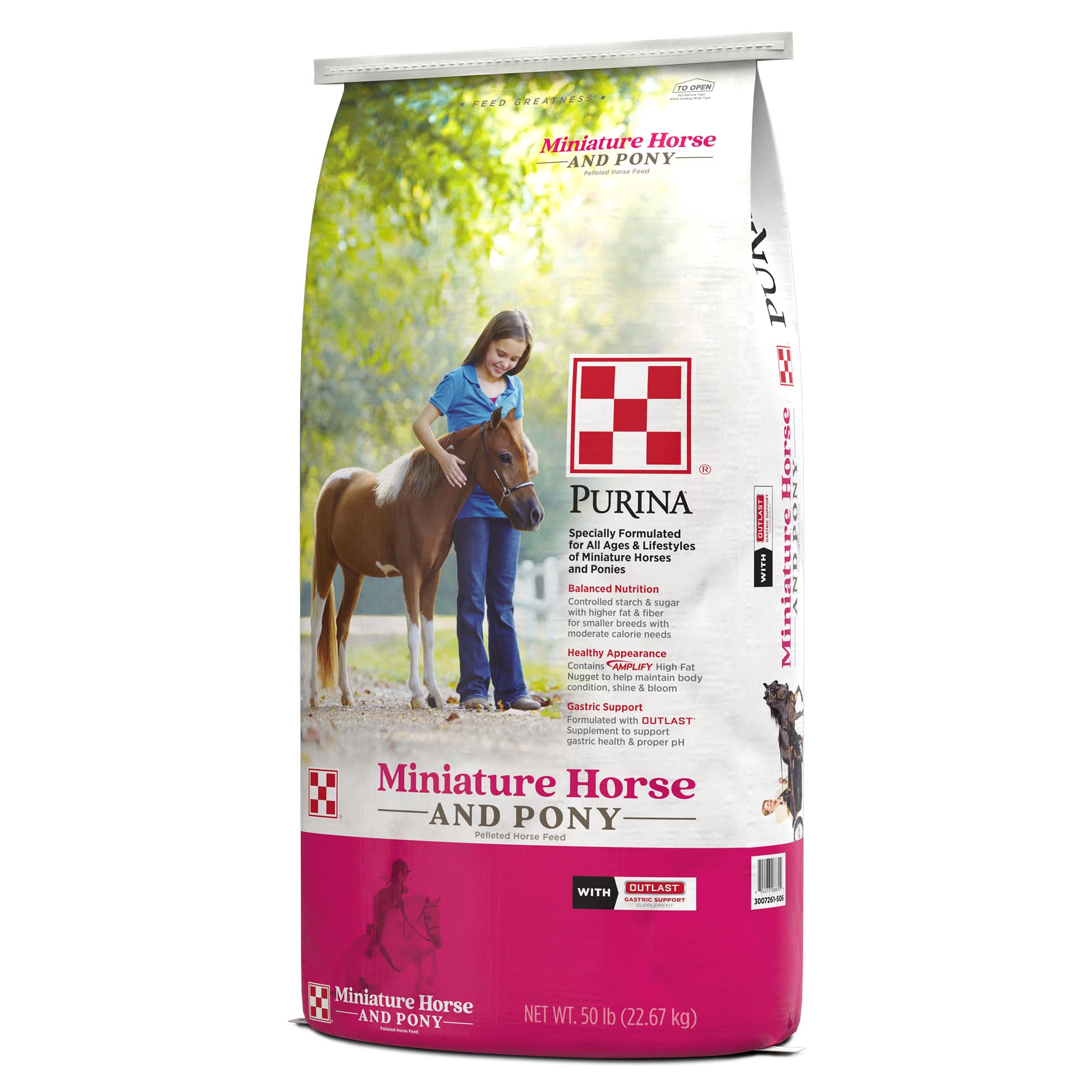 Mini Horse Feeder: Ultimate Guide to Efficient Feeding Solutions