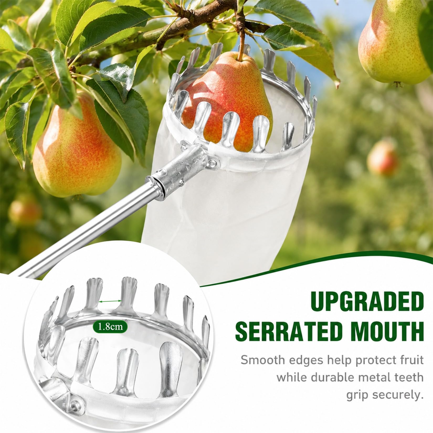 Idota 4,65m Obstpflücker mit Teleskopstiel, Ø 16cm Apfelpflücker mit Teleskopstiel Edelstahl Kirschenpflücker mit Baumwollbeutel Flaumenpflücker mit Sammelbeutel Pflückhilfe für Birnen Citrus Orange