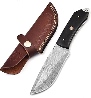 Beautiful Damascus Knife Made Of Remarkable Damascus Steel Buffalo Horn Handle -Best Hunting Knife With Brown Sheath TJ110 - SharpWorld