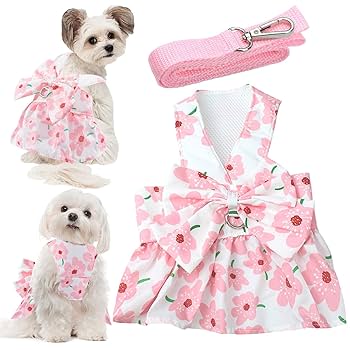 Amazon.com : Dog Dress Bowknot Harness Leash Set for Small