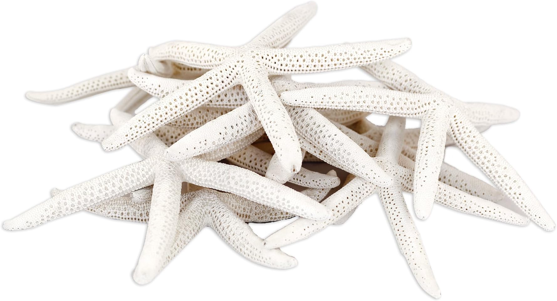 Starfish Sea Stars - All-Natural White Decorative Starfish Finger Shells - 10-Count (6-8 Inch) - White Decorative Sea Stars - Decorative Starfish for The Home, Gifts, Events, and Crafting
