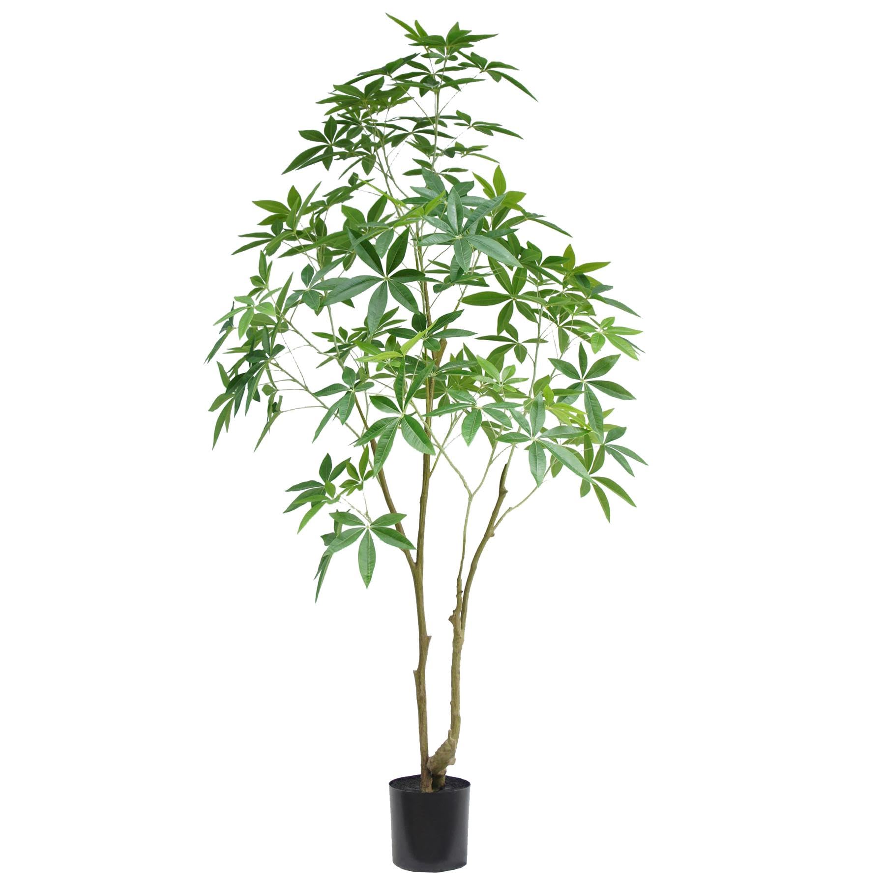 Leaf 210Cm Artificial Money Tree Pachira Realistic Faux Tree from B&Q
