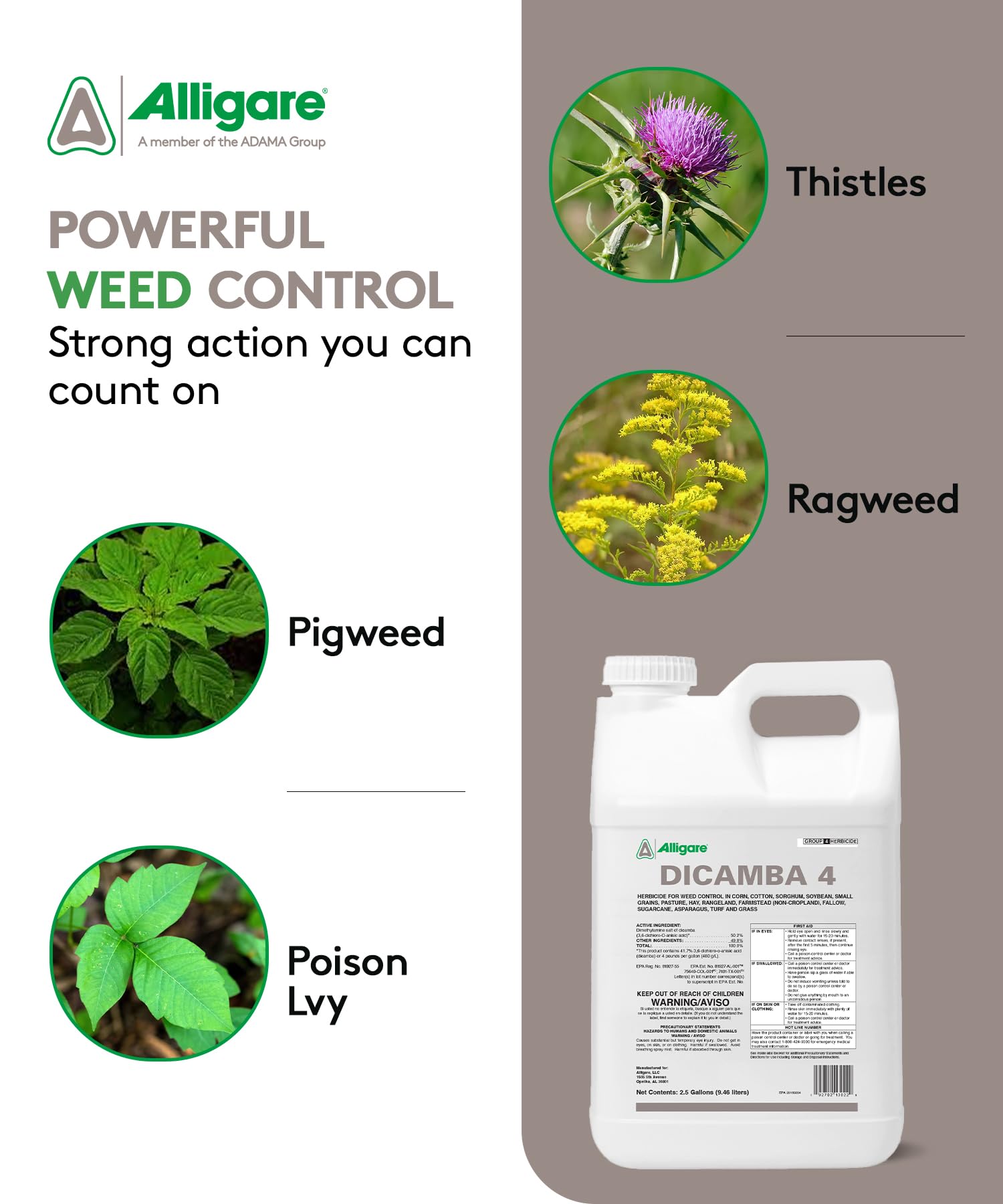 plainview herbicide Plainview SC Bareground Herbicide