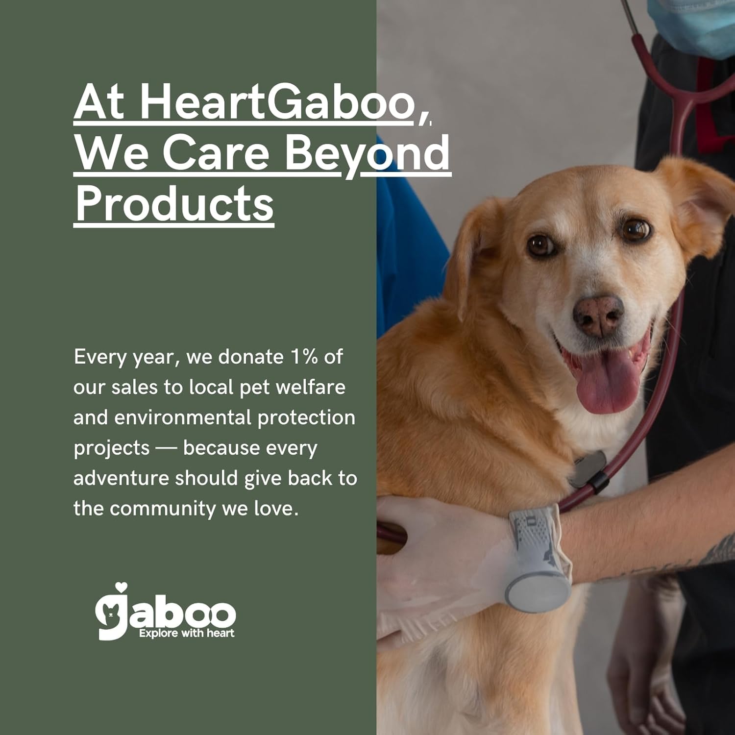 Travel Bag for Dog Walking & Light Trips, Hands-Free Waist/Chest Pack with Treat Pouch, Poop Bag Dispenser, Water Bottle Holder | WanderPaws Edition(Dawn Lavender)