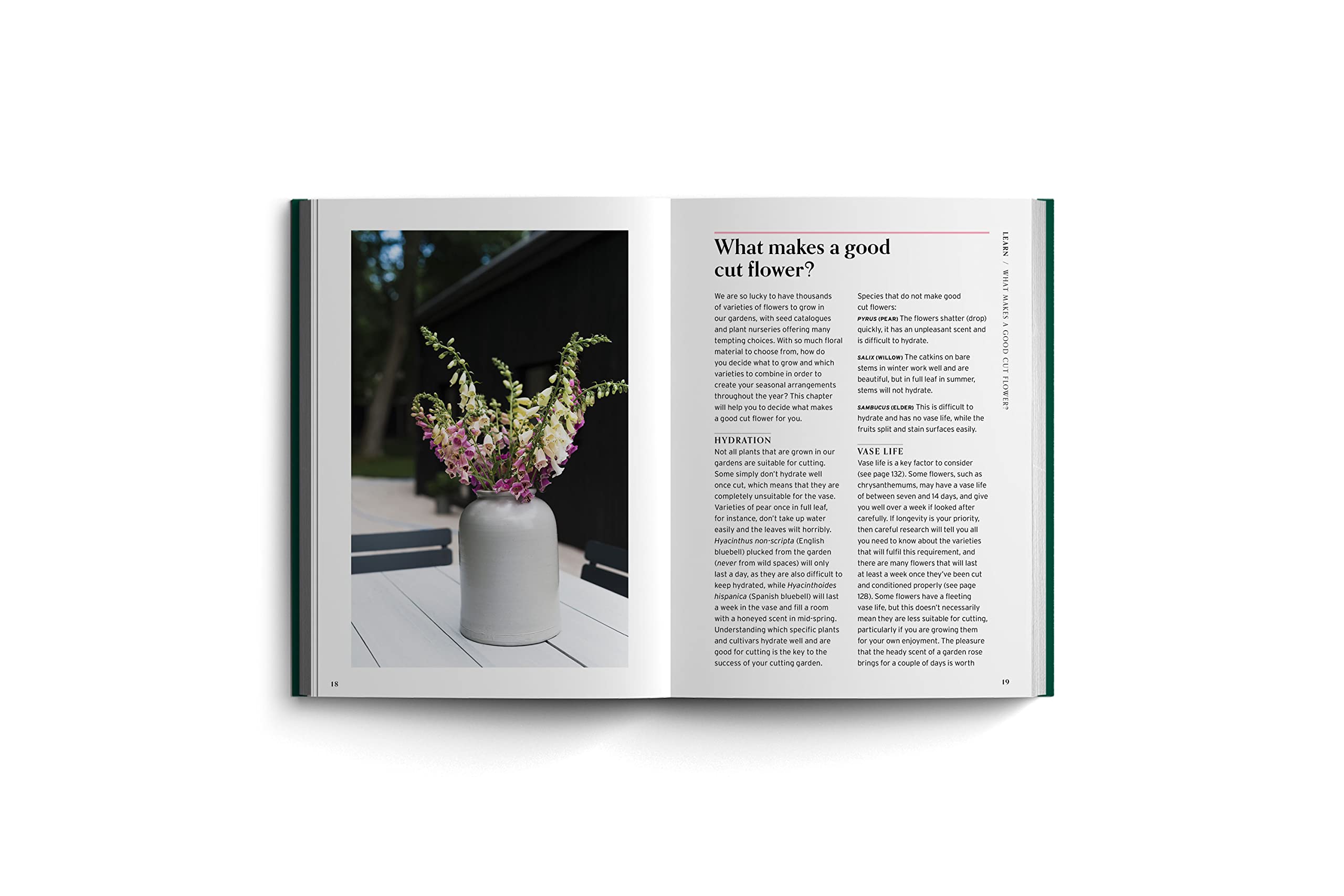 Cut Flowers: Bloom Gardener's Guide: Prepare the ground, sow seed, nurture, harvest, fill your vases (3)