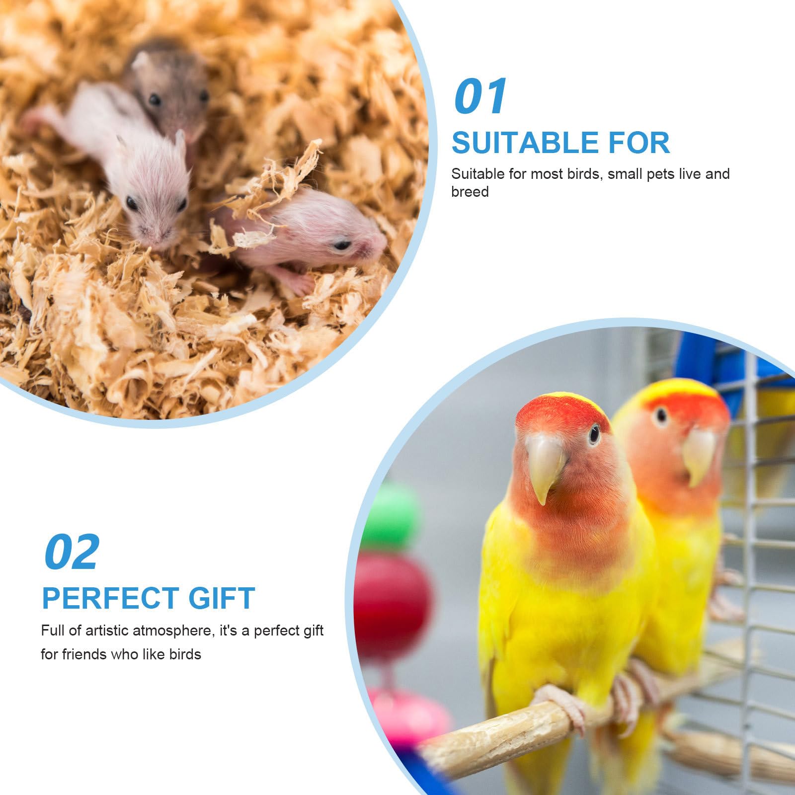 BETOOKY Vogelnest aus Natürlicher Kokosnussschale mit Holzleiter Hängendes Kleintier für Wellensittiche Kanarienvögel und Hamster
