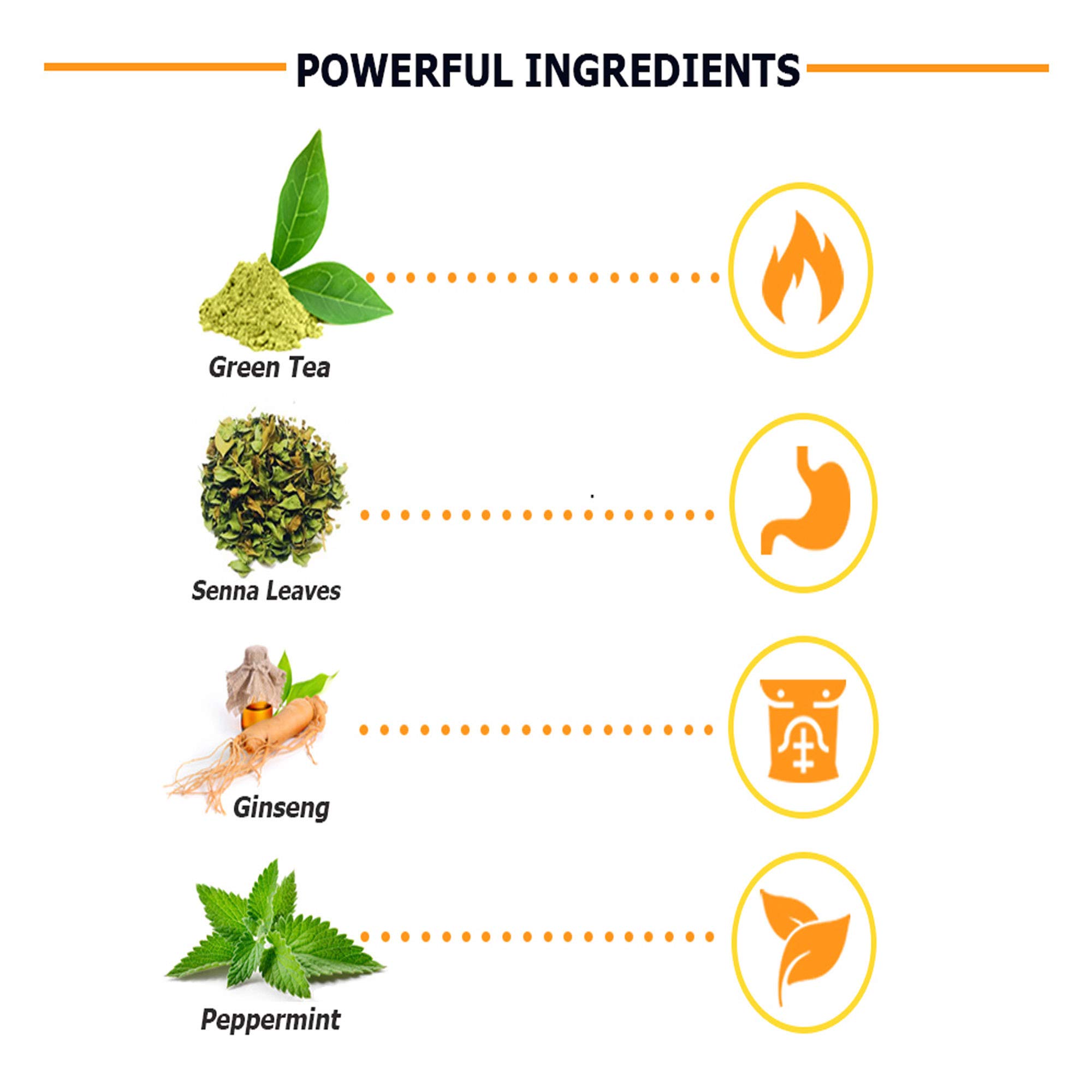 Buy ShapeGate Skinny Detox Tea (28 Days) for Weight Loss and Belly Fat Colon & Body Cleanse