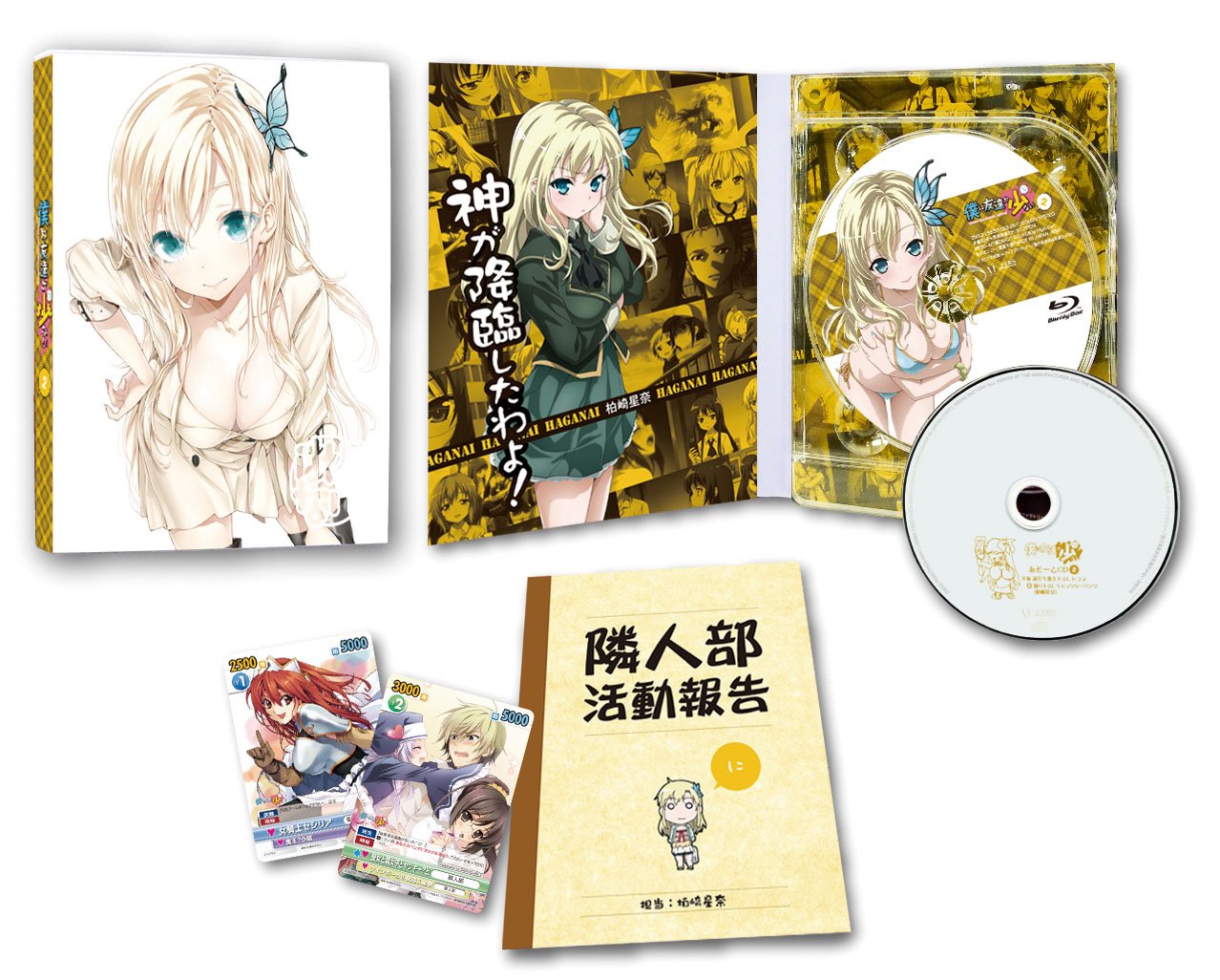 Animation - Boku Wa Tomodachi Ga Sukunai Vol.2 [Japan DVD] ZMBZ-7562