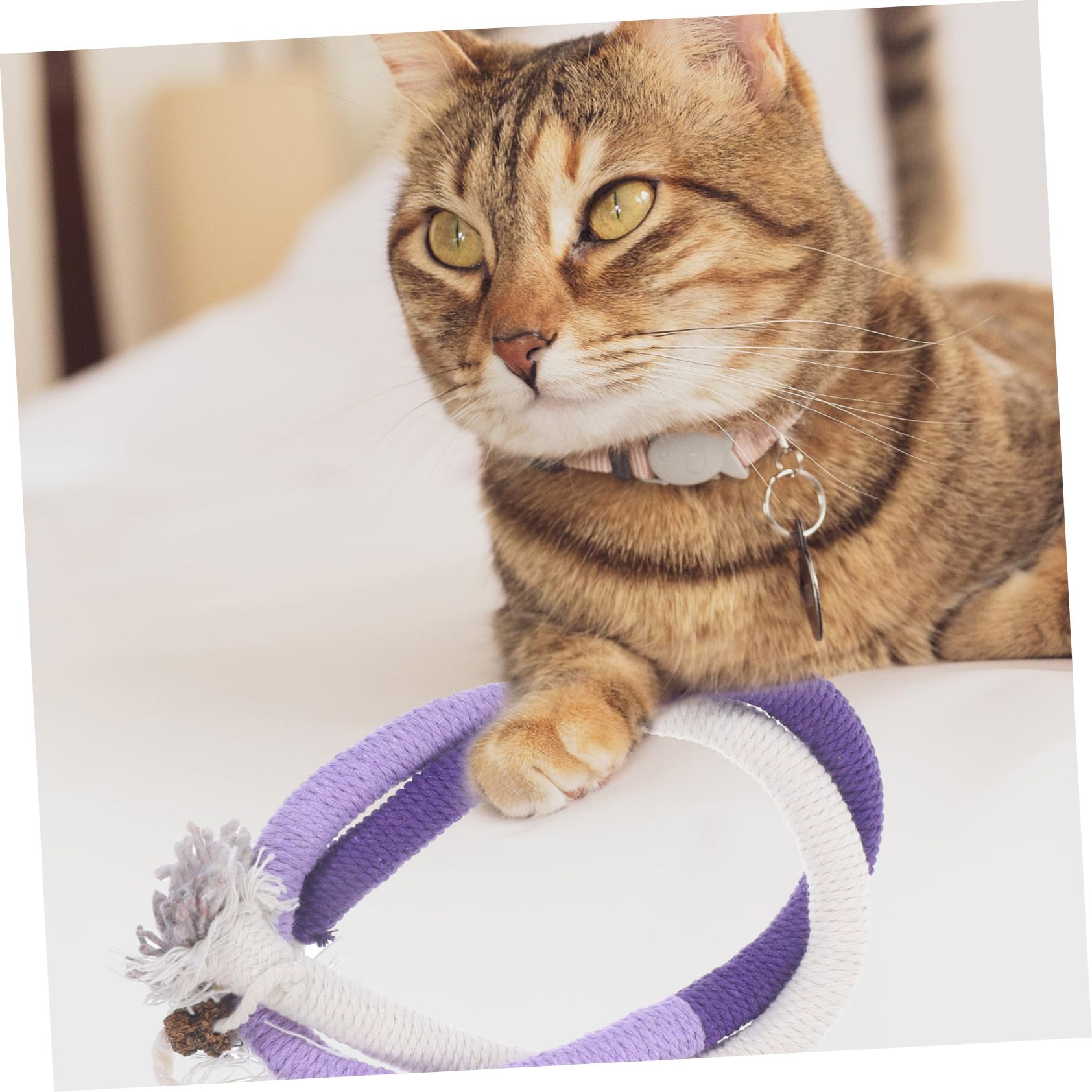 BESPORTBLE 12pezzi Giocattoli Interattivi Catnip Per Gattini Di Giochi Con Corda Per Masticare e Istinto Di Per Gatti Indoor