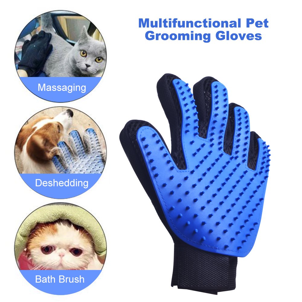 cat mitt brush