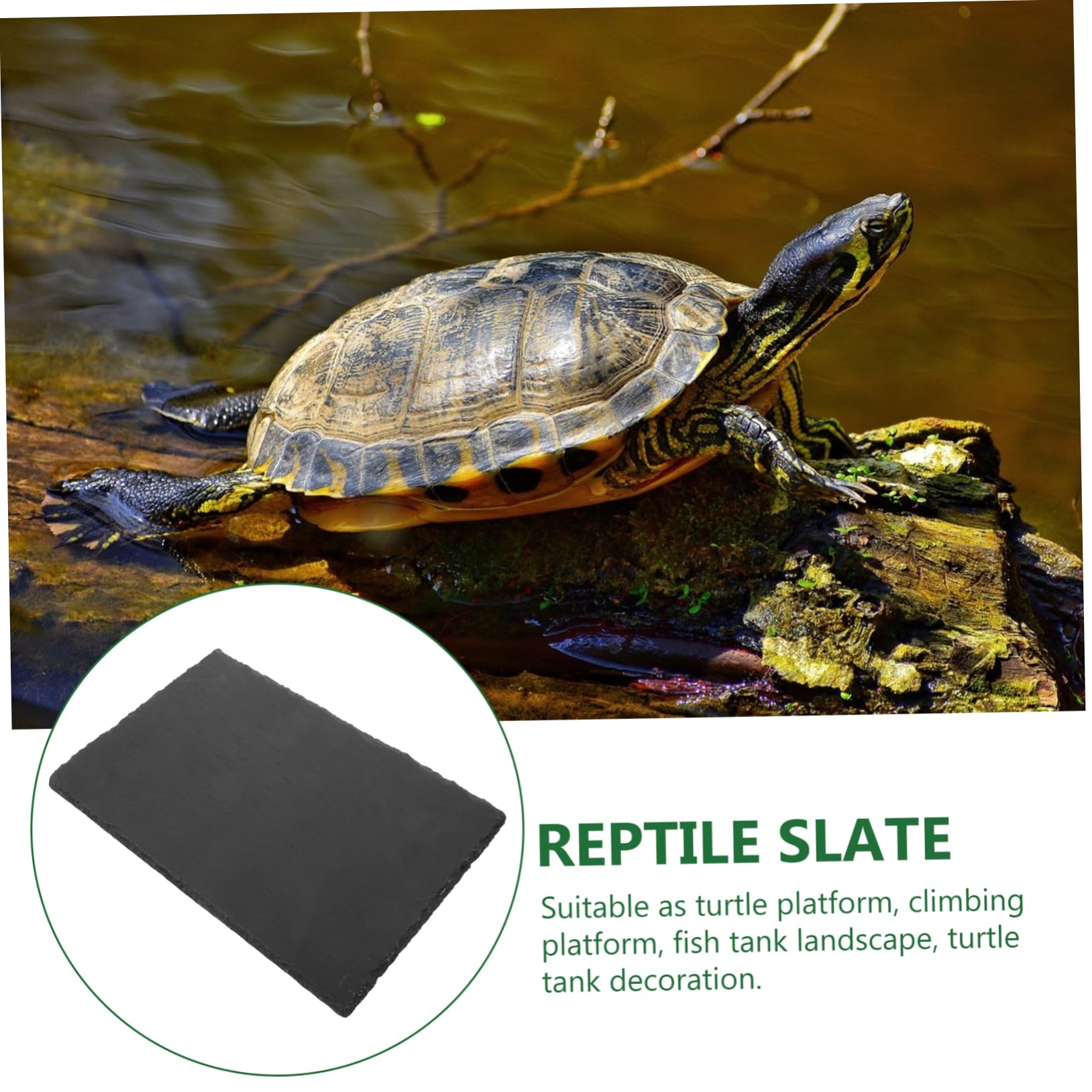 TOYANDONA Natürliche Schiefer als Dekoration Sonnenplattform mit Robustem Material für Reptilien und Schildkröten für Aquarium und Terrarium