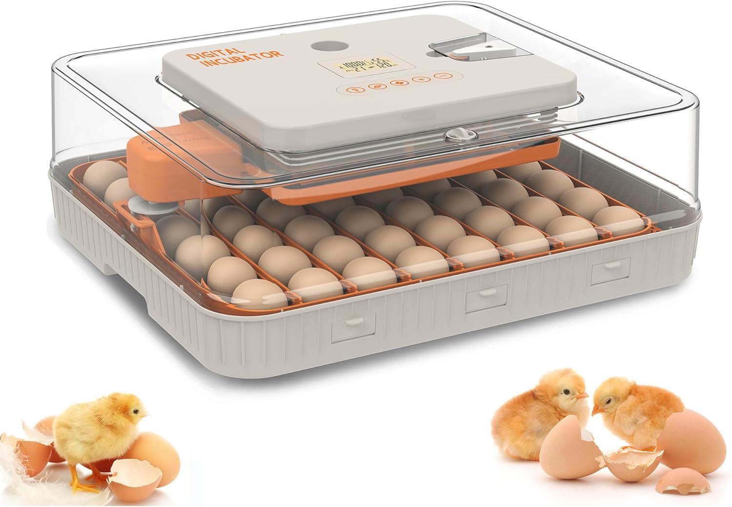Egg Incubator for Hatching 56 Chicken, Duck, Quail & Goose Eggs – Automatic Egg Turner, Humidity & Temperature Control, Built-in LED Candler, Auto Water Refill, 360° Clear View Digital Poultry Hatcher