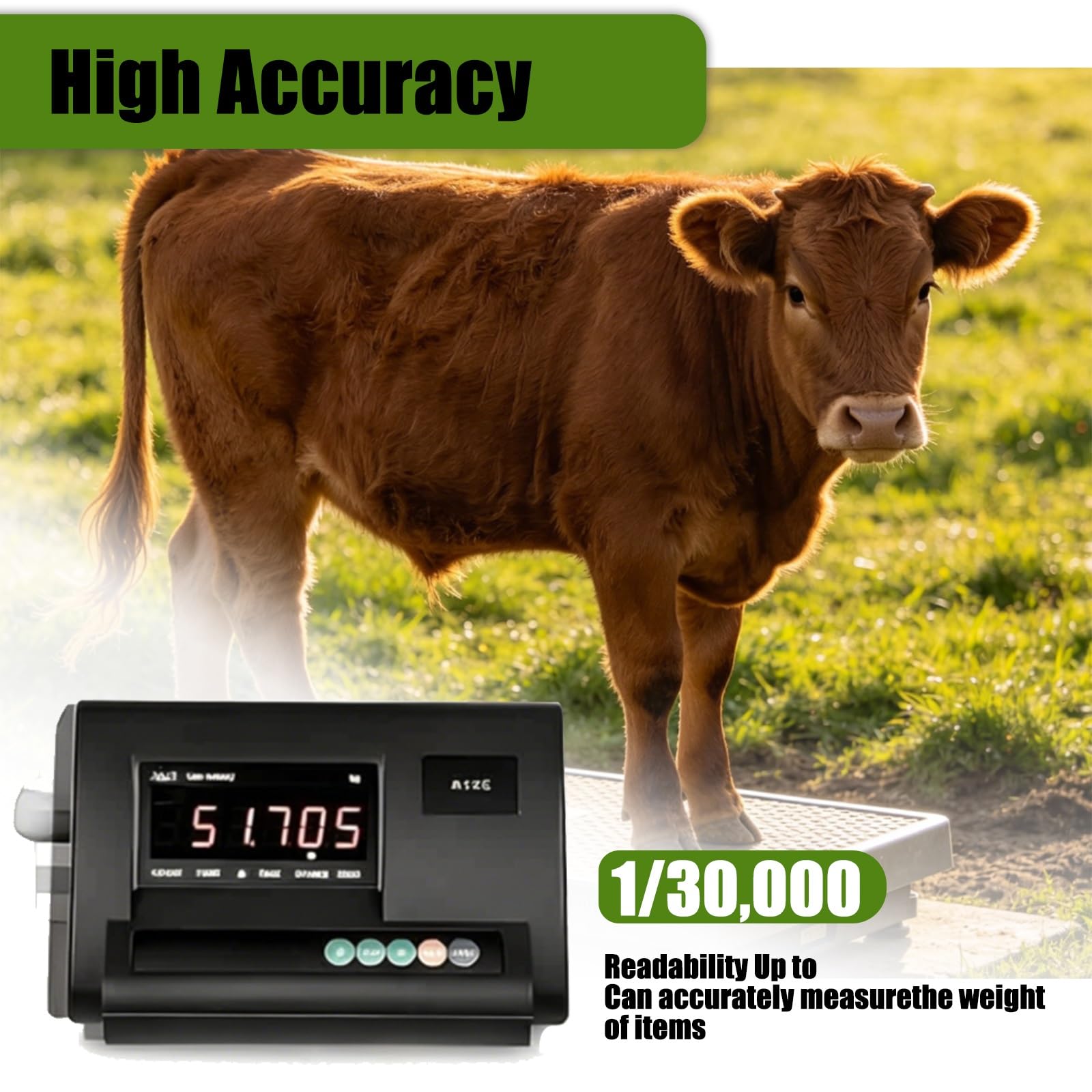 Kit Bilancia per Bestiame Elettronica,Bilancia per Scivolo per Bovini,Kit Bilancia per Animali,Bilancia Da Pavimento,Display a LED,Con 4 Celle Di Carico E Scatola Di Giunzione(2000kg)