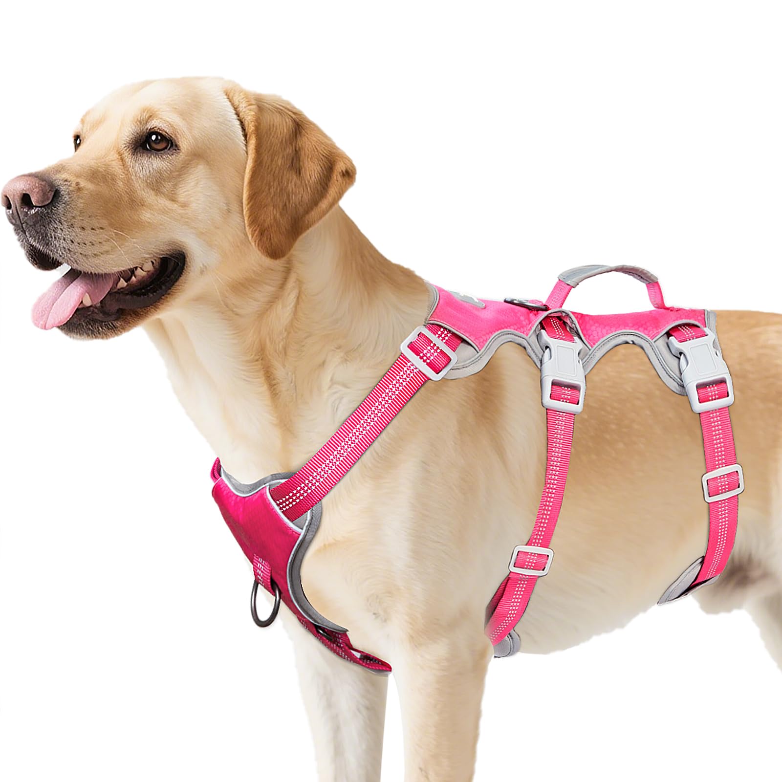 NEIGHBORHOOD DOG HARNESS サイズM ハーネス犬 犬用品 NEIGHBORHOOD DOG HARNESS