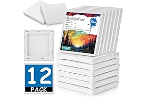 Canvas for Painting 4x4, 12pk Mini Canvases