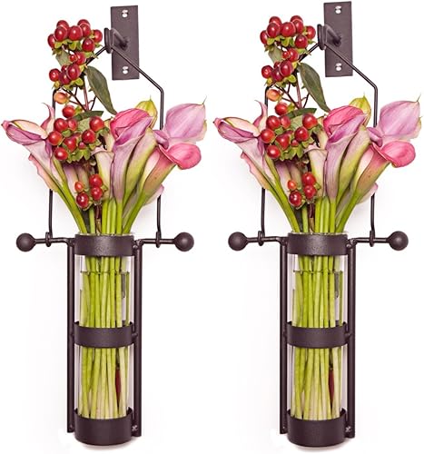 Miniatura 3 de Cilindro de vidrio colgante para pared de Danya B, jarrón con soporte y gancho de metal, juego de 2, Hierro fundido y forjado, Transparente, 2