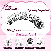 Vista 151 de Eyelash Extension Kit Lash Bond and Seal Lash Clusters with Eyelash Tweezer Lash Glue for Individual Lashes Lash Applicator Tool for DIY Lash
