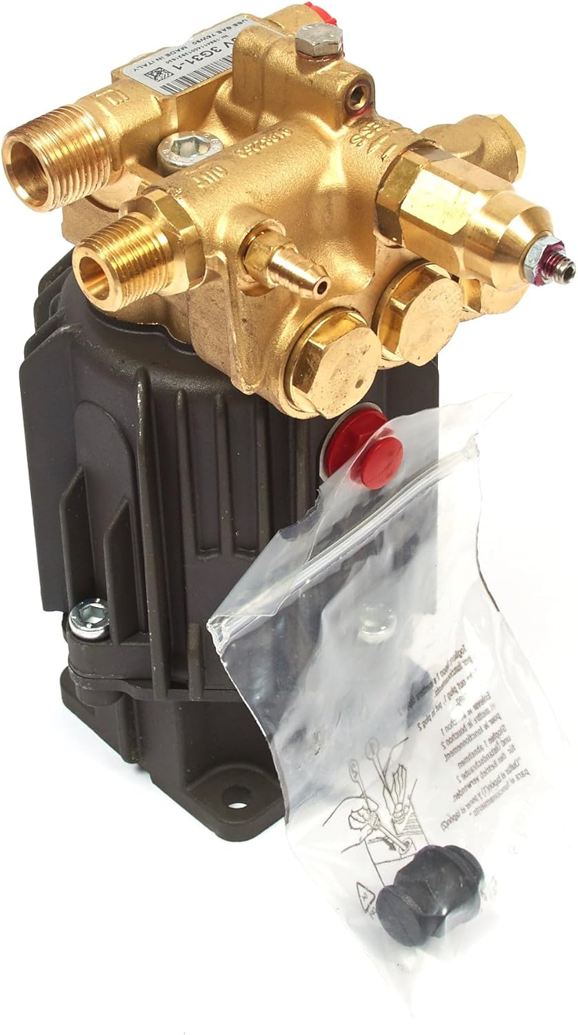 Briggs and Stratton 202005GS Pump - Pressure Washer