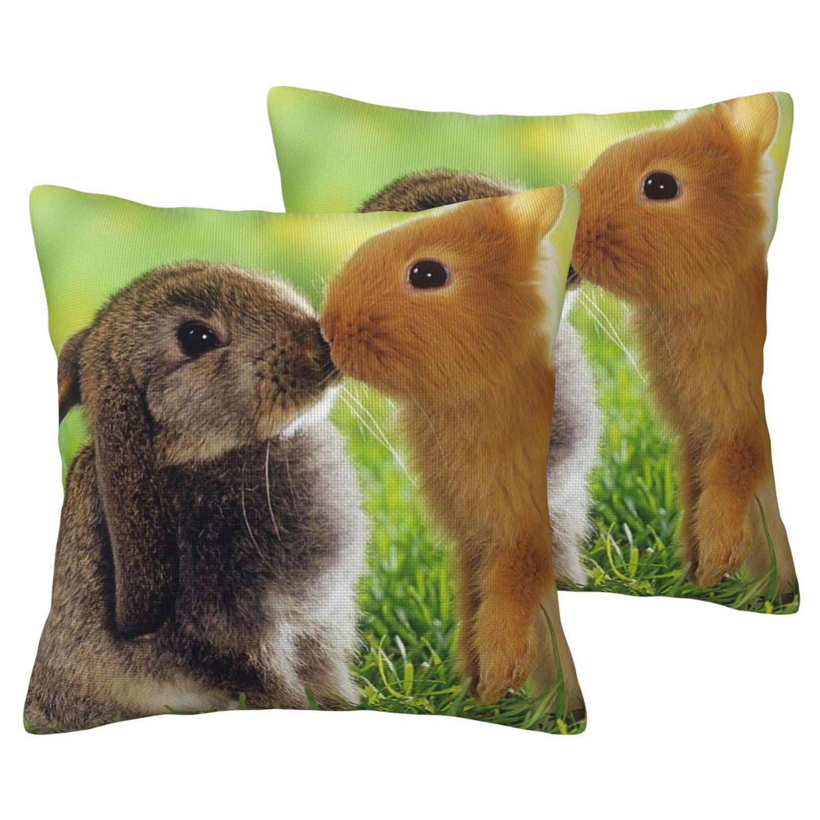 Housses de coussin lin avec motif lapin lot de 2 taies décoratives 45x45