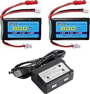 T-Shirt BMW R 1250 GS ADV 40th Anniversary - Cotone 100%, Stampa Digitale, Made In Italy - Foto 11