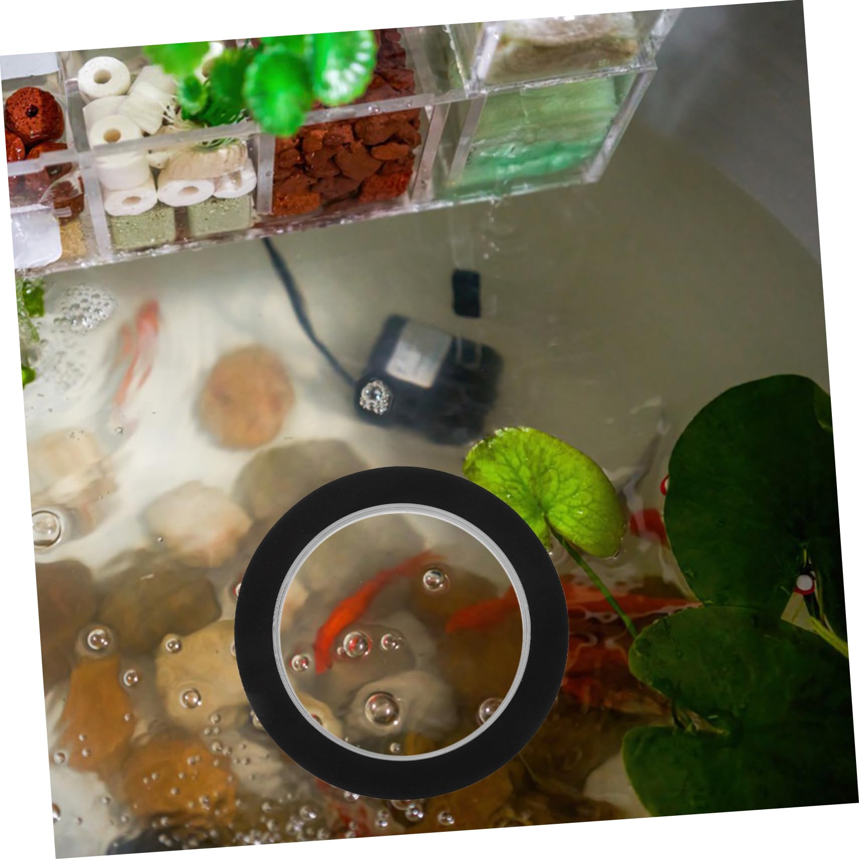Happyyami 2pezzi Dome Galleggiante Per Pesci Acrilico Trasparente Con Base Nera Accessorio Per e Laghetti Pratico Per Decorazione e Protezione Delle Piante Acquatiche