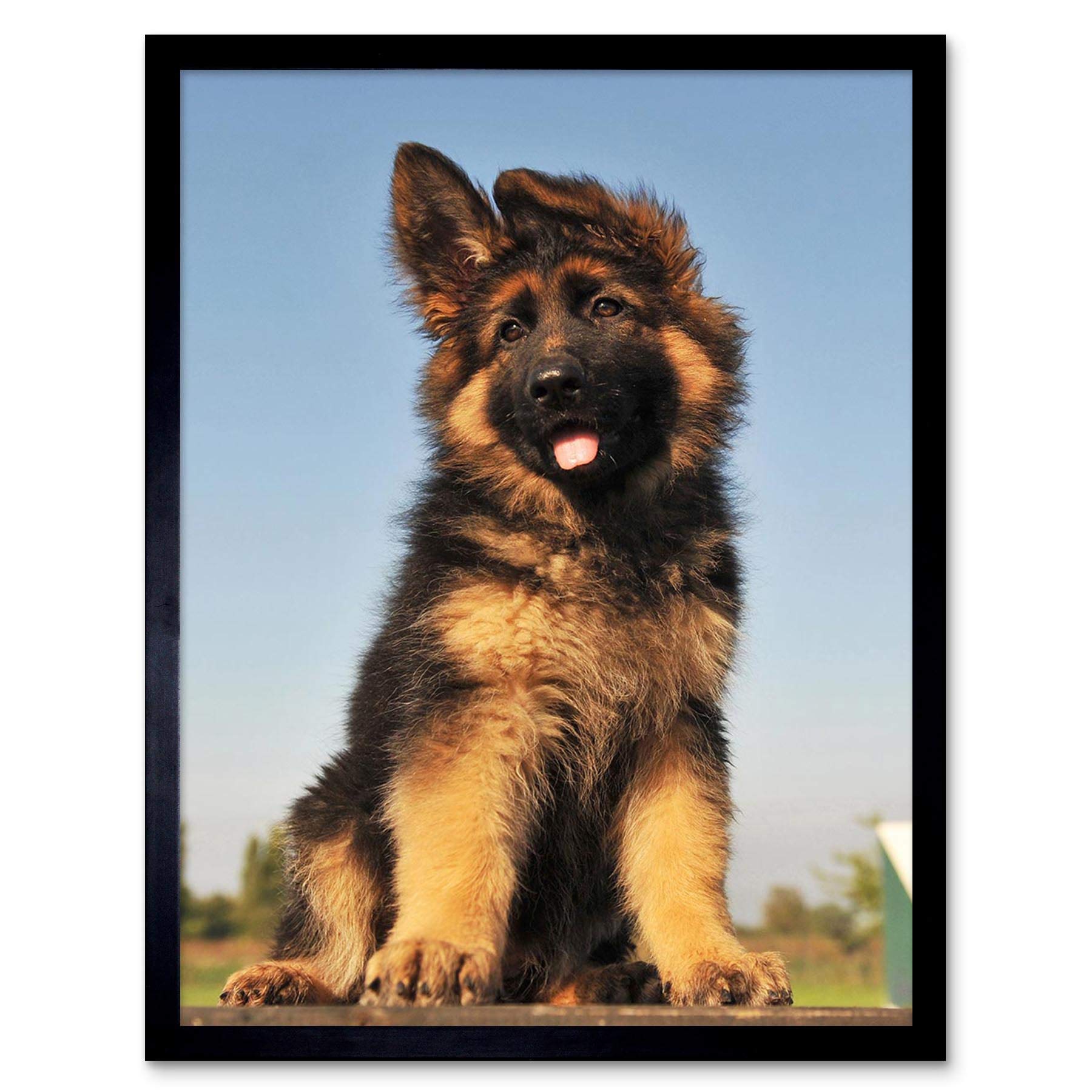Artery8 Puppy German Shepherd Alsatian Photo Home Decor 12X16" Framed Wall Art Print from B&Q