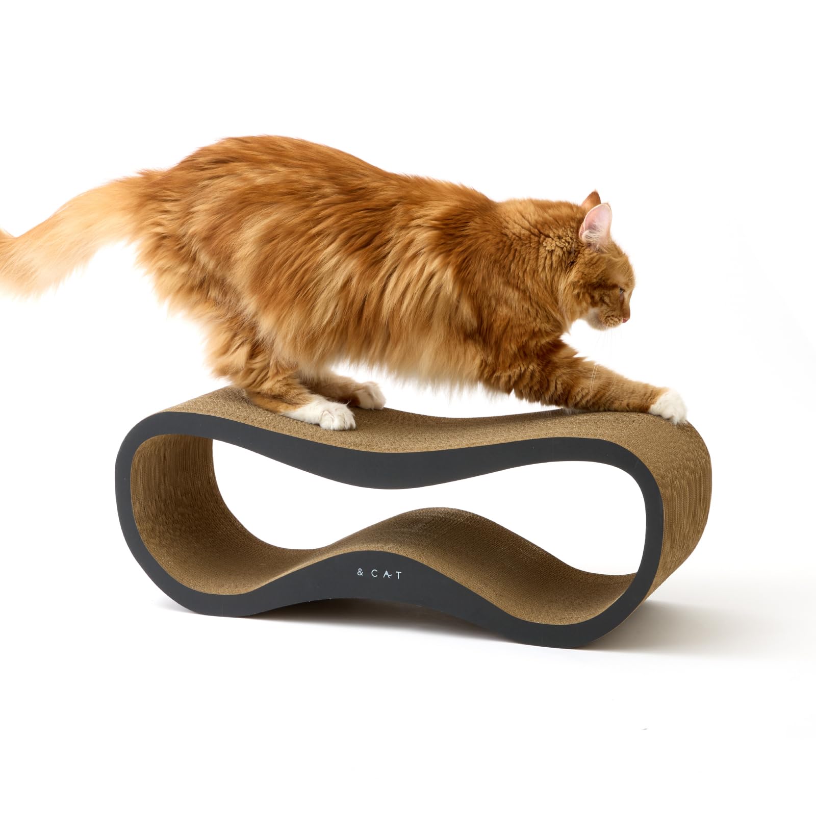 Amazon | 【くつろぐ・遊ぶ・研ぐ】&CAT 猫 爪とぎ ダンボール 研ぎ Amazon | 【くつろぐ・遊ぶ・研ぐ】&CAT 猫 爪とぎ ダンボール 研ぎ
