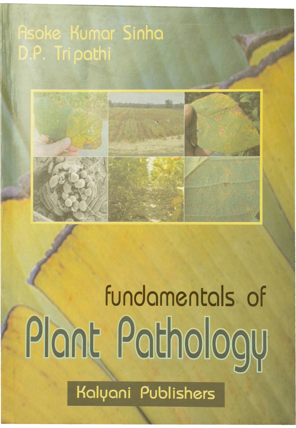 Buy Fundamentals of Plant Pathology Book Online at Low Prices in India ...