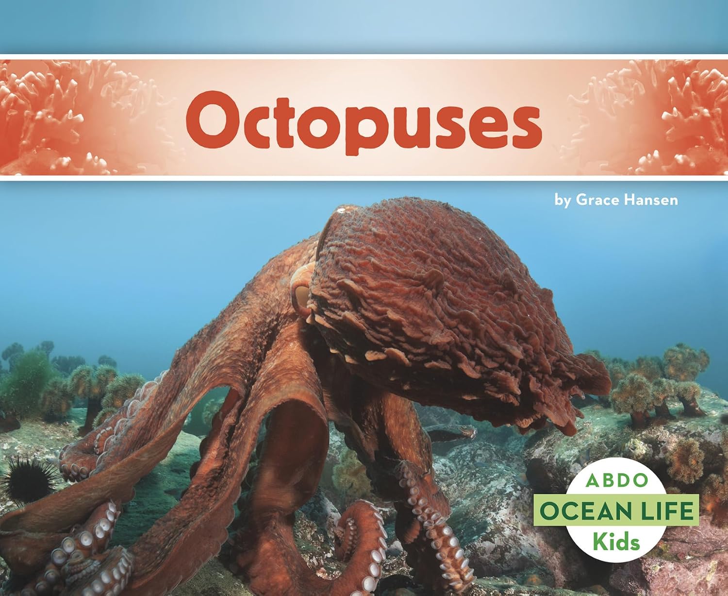 Octopuses (Ocean Life)