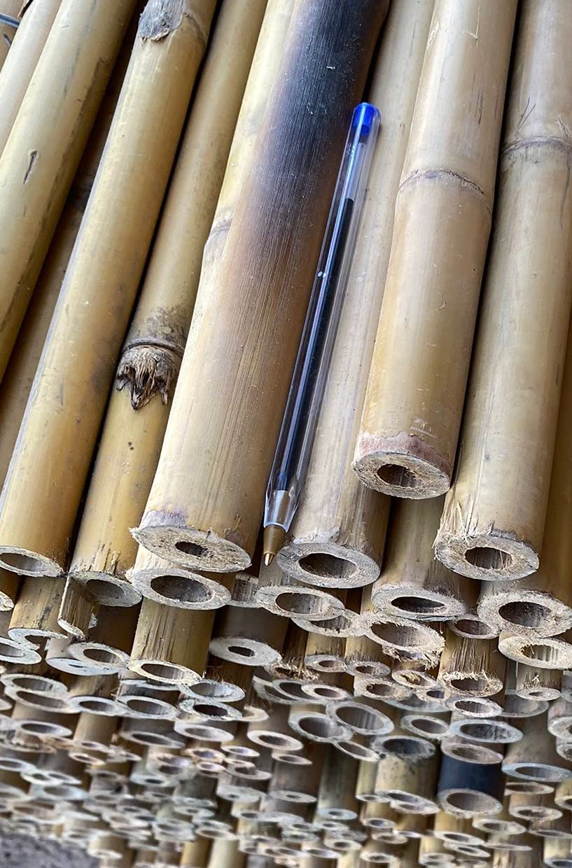 Tutor de bambú tailandés de 1,5 m. de Altura, diámetro 24-26mm. Pack de 25 uds.. Tutores Muy Resistentes, válidos para Todo Tipo de Plantas.
