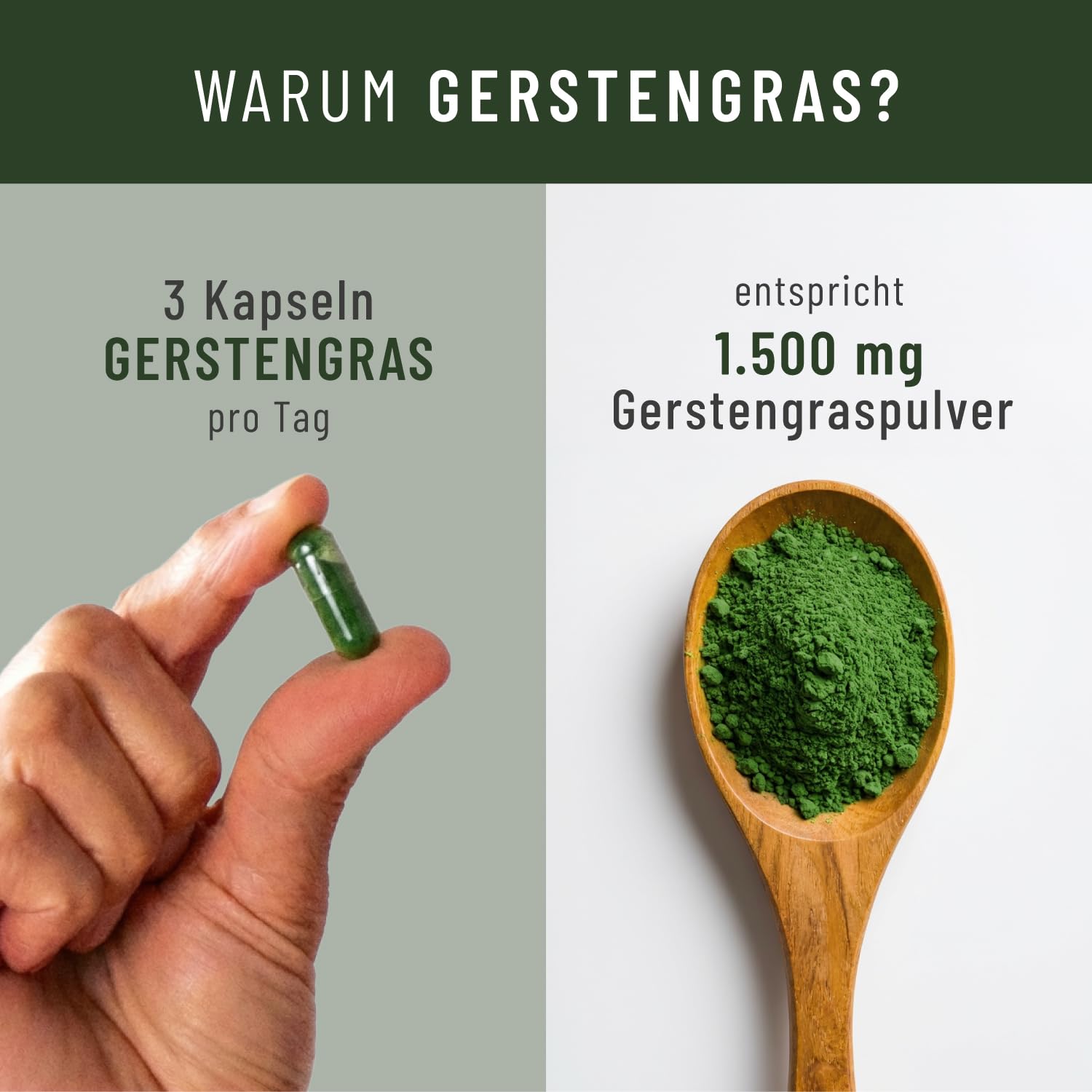 NATURTREU® Bio Gerstengras Kapseln hochdosiert, 540 Kapseln