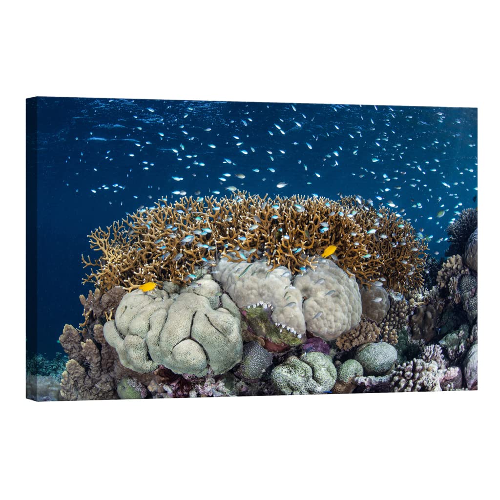 Tableau sur toile brillant dans le noir paysage nature DCL385-2 - 5