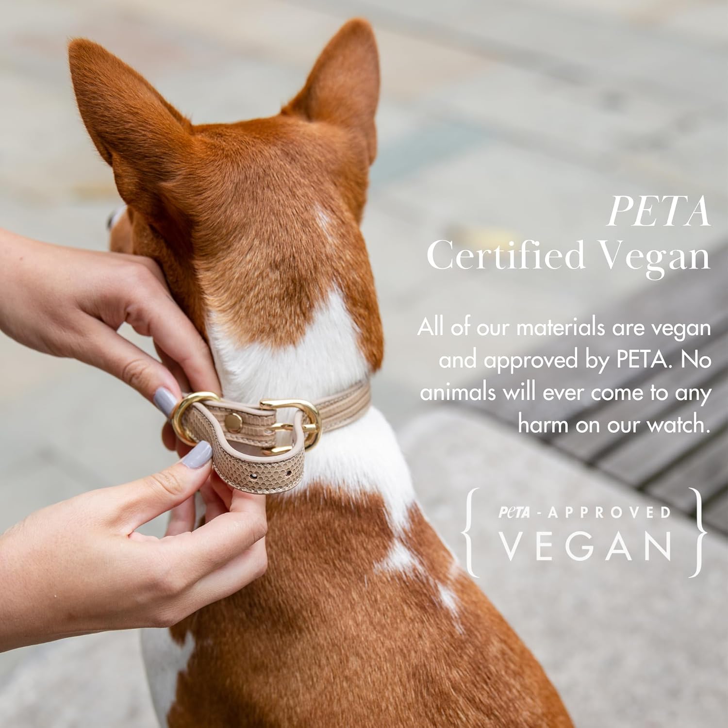 Vegan Leather Collar by Nina Woof