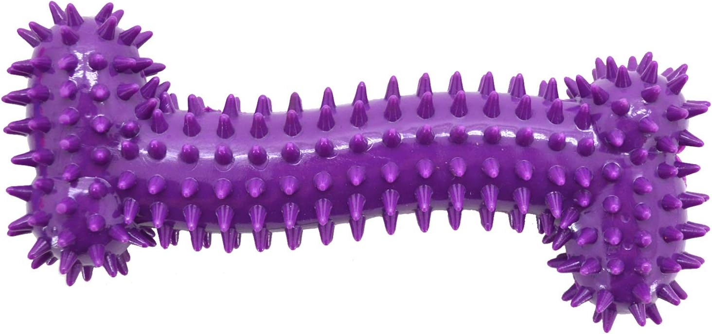 Best Pet Supplies, Inc. RT08-EB-M Pet Rubber Chew Toy - Dental Bone, Purple, Small (RT08-PP-S)