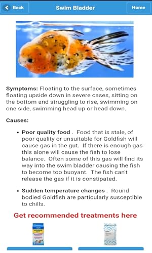 Goldfish Doctor