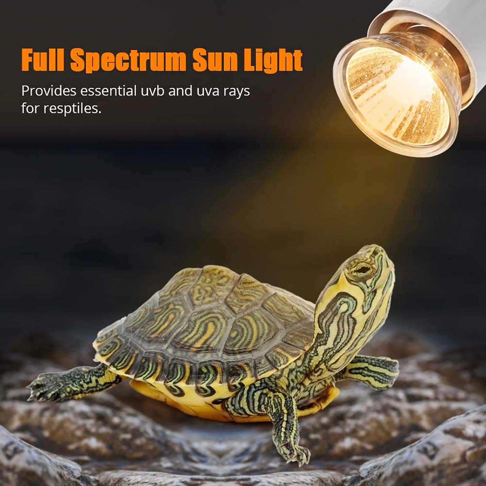 6 Lámpara de reptiles,Luz Reptiles Luz de Calentamiento, Lámpara de Calentador de Reptiles UVA + UVB Accesorio de Bombilla de lámpara de Calor de Acuario para Lagarto Tortuga,75W