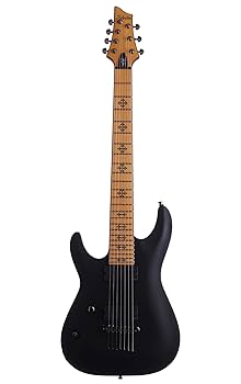 Amazon.co.jp: Schecter シェクター JEFF LOOMIS-7 エレキギター