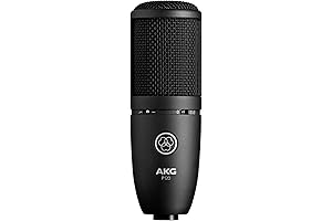 AKG P120 XPL Studio Condenser Microphone That Captivates