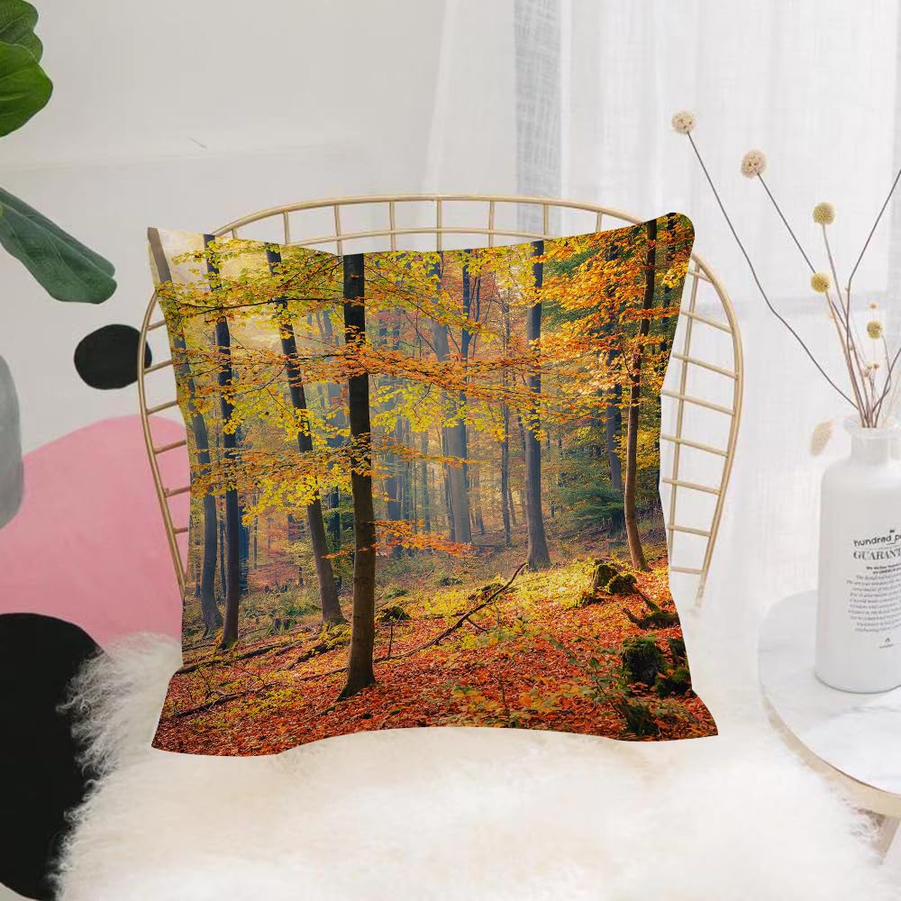 HYMSXW Cushion Cover,Throw Pillow Case Home Decorative for Living Room Bedroom Sofa Chair 20X20 Inch,Colorful Forest Autumn Sunbeams Golden Leaves Seasonal Trees,Pillowcase 50X50cm