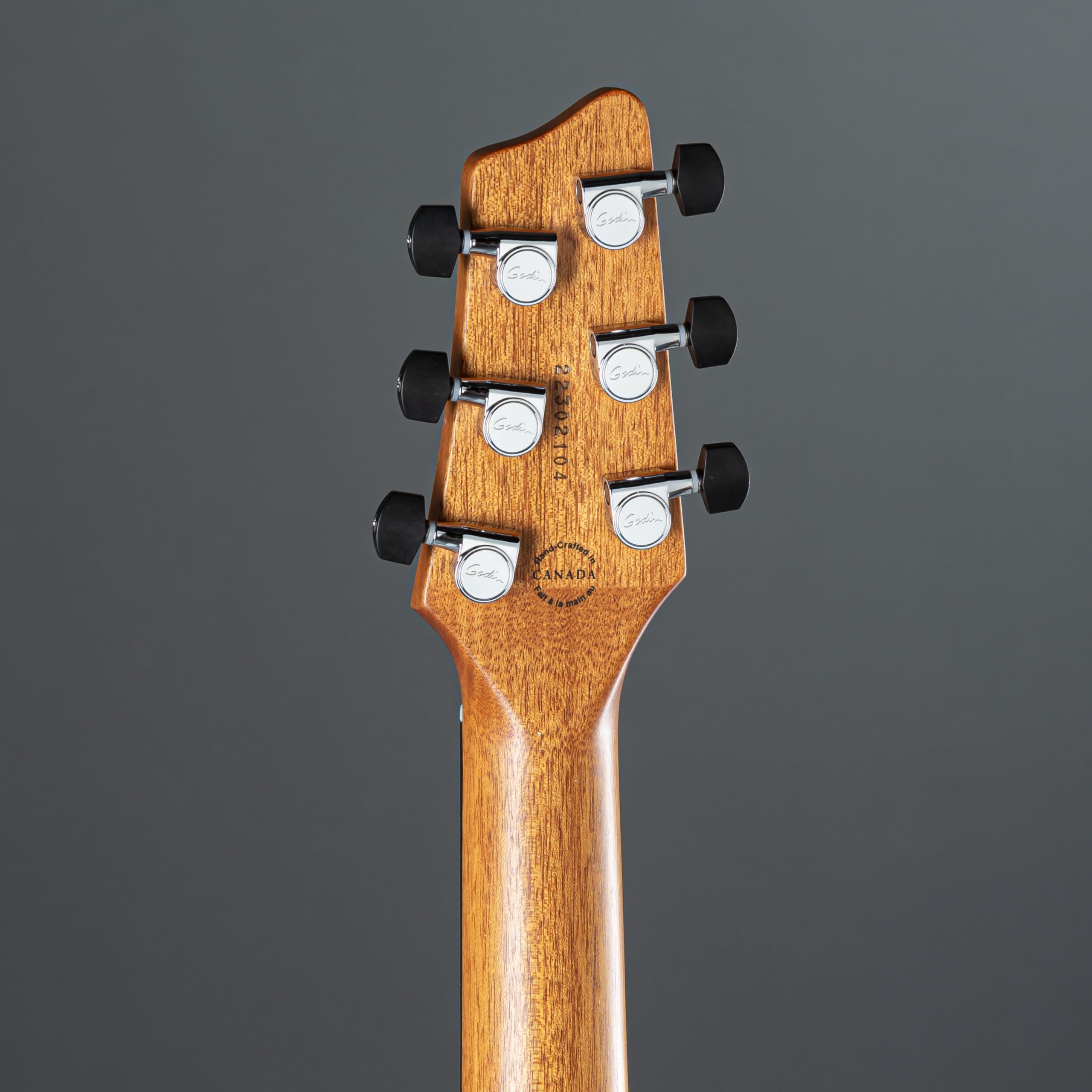 Amazon.com: Godin XTSA Trans Black : Musical Instruments