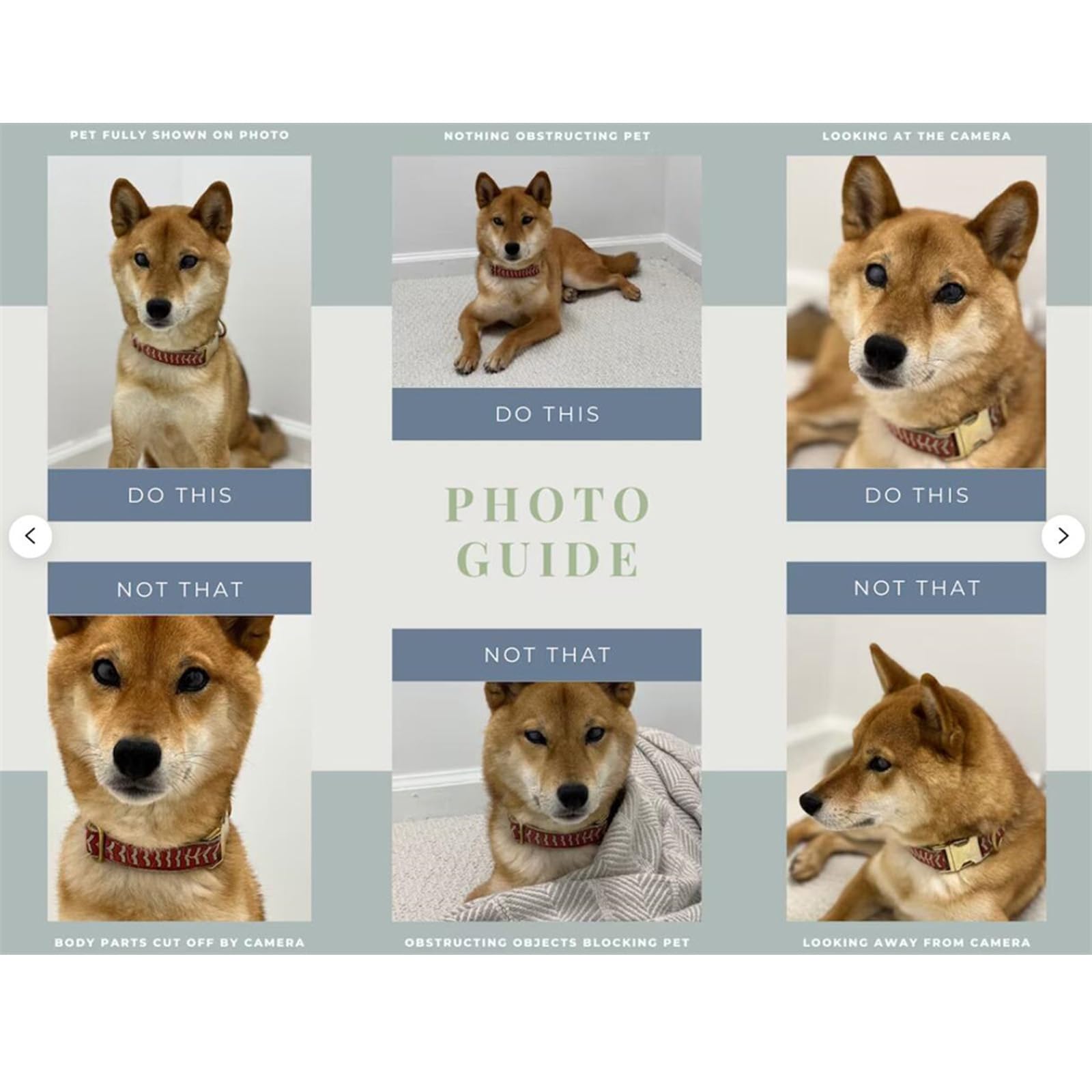 50 Stück personalisierte Servietten mit Foto und Namen, Hochzeits-Cocktail-Servietten, personalisierbar, Haustier-Hunde-Party-Dekor-Servietten, Braut, Duschempfang, Jahrestag, Geburtstag, Babyparty,