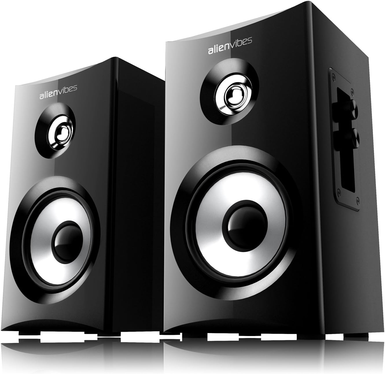 Alienvibes 20W 2.0 Channel Multimedia Desktop PC Speaker, Black (S101)