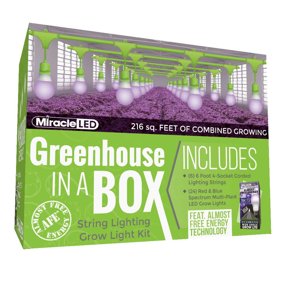Miracle LED Almost Free Energy Greenhouse in a Box Grow Light Kit for Indoor Plants - W/ 4 Red & Blue Spectrum 150W Yield Bulbs & 1 4-Socket Corded Grow Light Fixture (6-Pack - 24 Bulbs, 6 Strings)